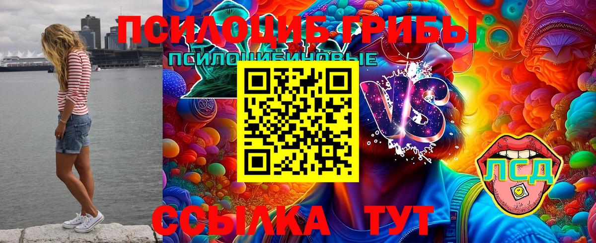 купить наркотики сайты  Вход с VPN  Протвино  Галлюциногенные грибы ЛСД 