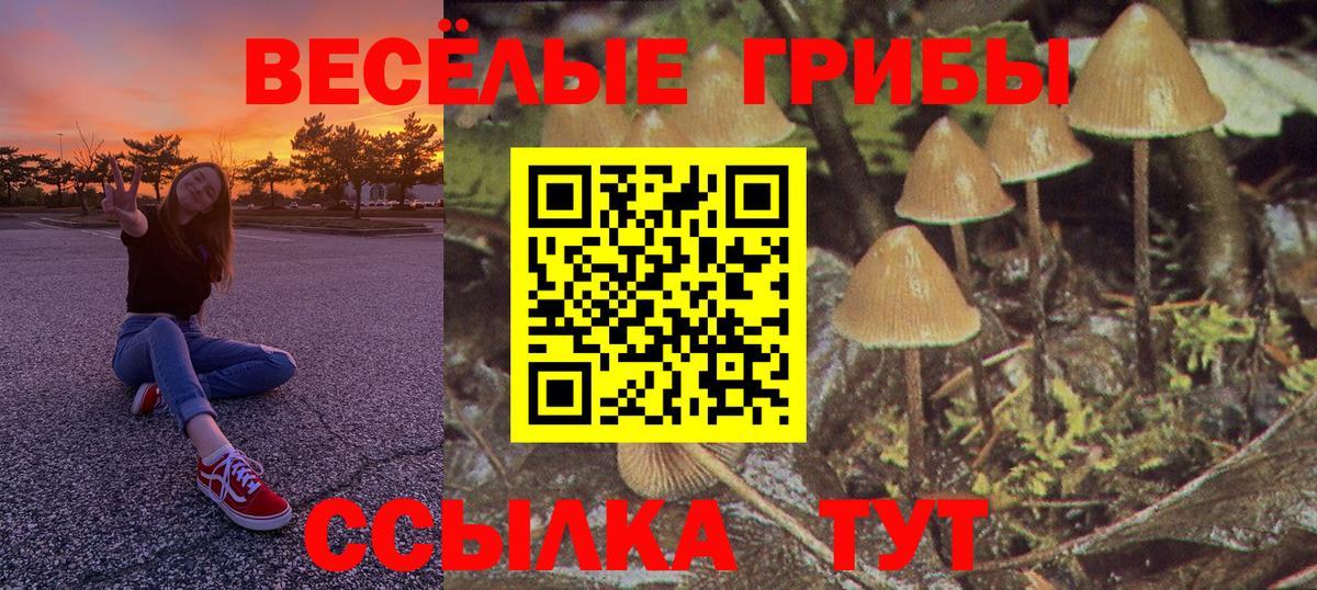 Галлюциногенные грибы GOLDEN TEACHER Протвино